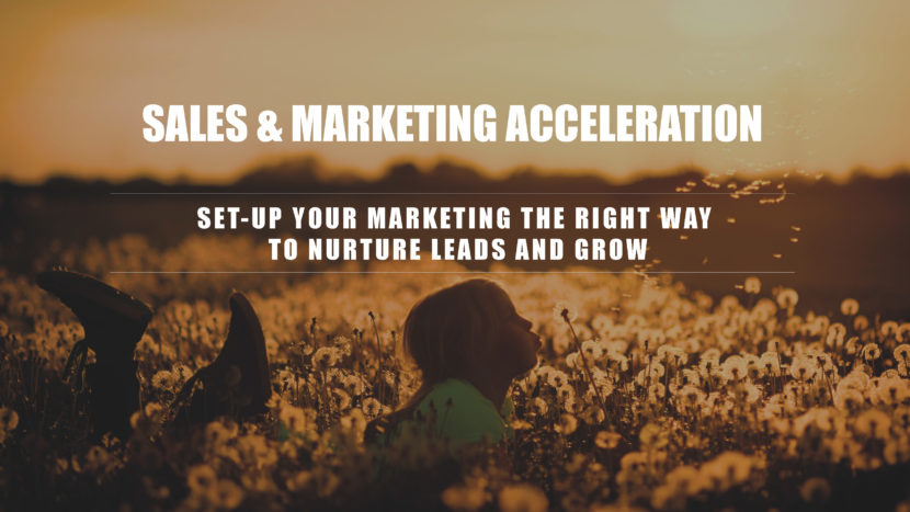 Sales and Marketing acceleration